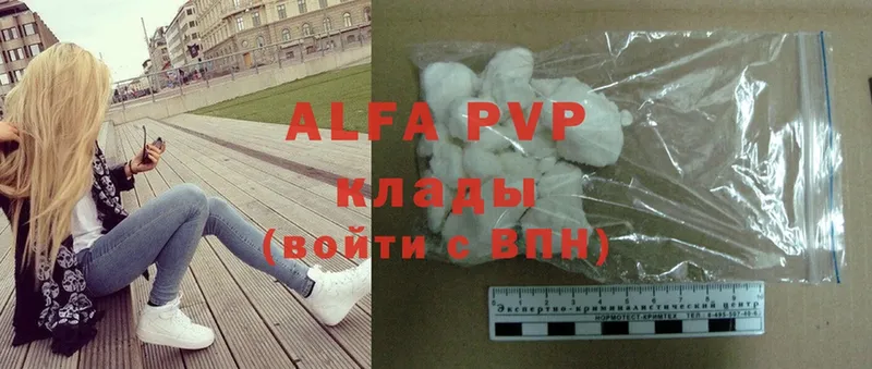 A PVP СК  Суворов 