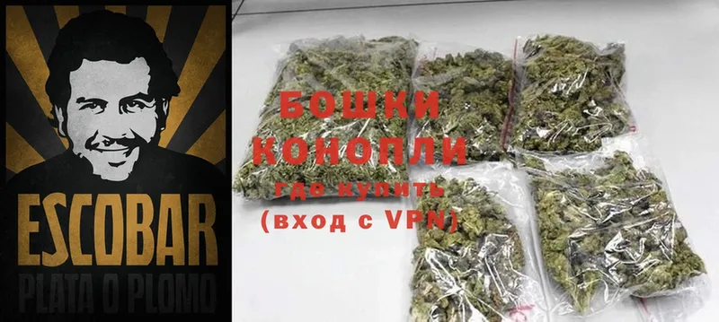 Бошки Шишки White Widow  сколько стоит  Суворов 